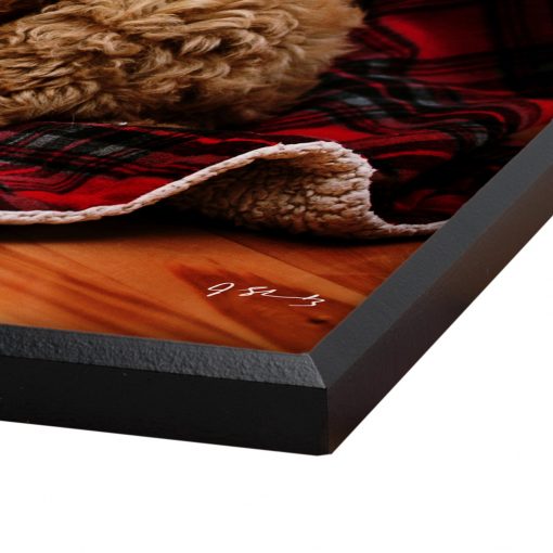 Designer Photo Matte 3-up | Plaques-standard-profile.jpg